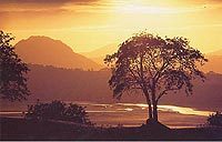 /image/upload/eifion/32.Eveningsunlight2s.jpg